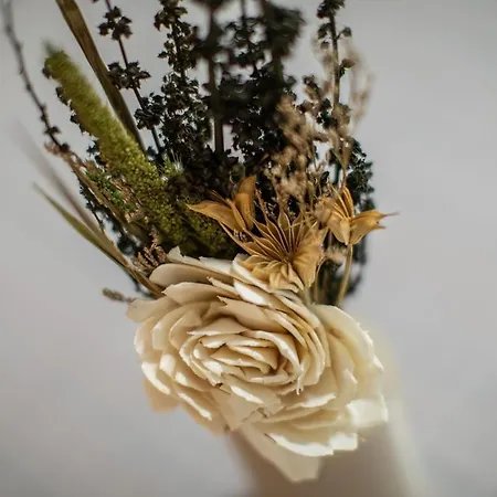 Apartment Centro-studio41