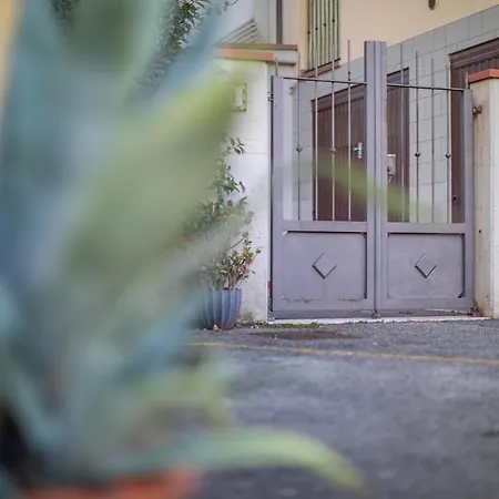 Centro-studio41 * Arezzo