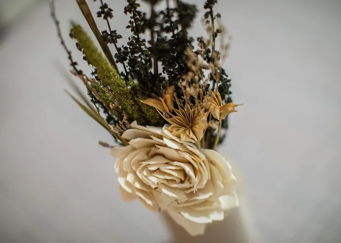 Apartamento Centro-studio41