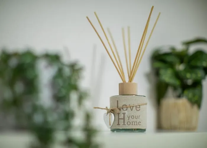 Apartamento Centro-studio41